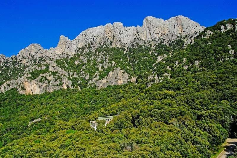 Готель S'Enis Monte Maccione Ольєна Екстер'єр фото
