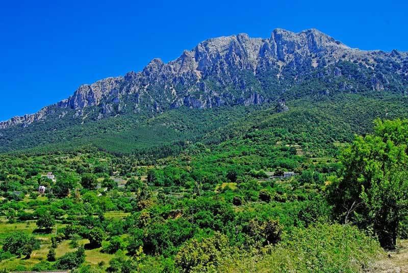 Готель S'Enis Monte Maccione Ольєна Екстер'єр фото